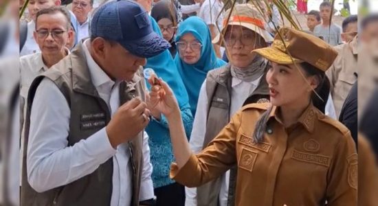 Gubernur Sherly Kenalkan Minyak Cengkeh Hiri ke Wamen Kehutanan: Nanti Bawa Pulang!