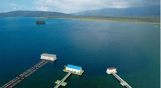 Harita Nickel Dinilai Konsisten Kelola Air Tambang Sesuai Prinsip GMP