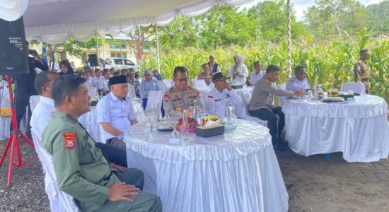 Wagub Maluku Utara Sarbin Ikut Panen Raya, Indonesia Swasembada Beras