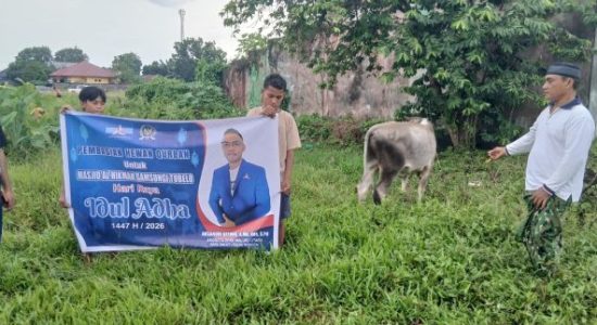 Salurkan Hewan Kurban di Halmahera Utara, Aksandri Kitong Ajak Warga Perkuat Kepedulian