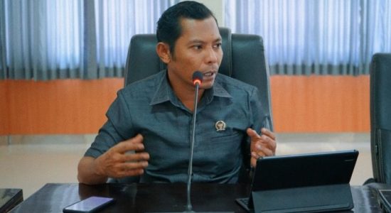 Menakar Opini Wajar Tanpa Pengecualian dan Capaian Makro Ekonomi Halmahera Selatan
