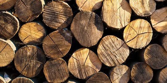 Polda Bongkar Jaringan Narkoba, 84 Saset Ganja Disita dari Remaja Halmahera Tengah