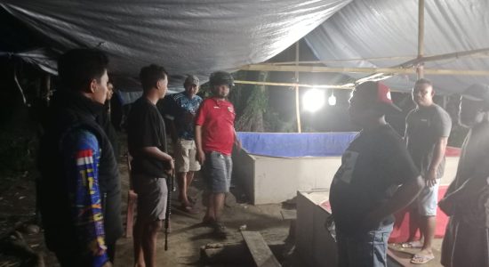 Digerebek Polisi, Pelaku Judi Sabung Ayam di Halmahera Utara Kabur ke Kebun