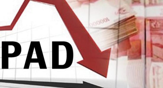 Digitalisasi Pajak Morotai Jadi Strategi Dongkrak Pendapatan Daerah