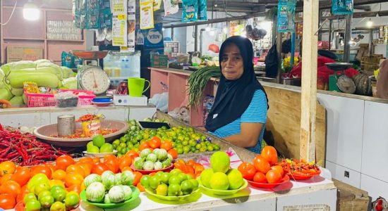 Harga Barito dan Bapok di Halmahera Tengah Tetap Stabil Jelang Lebaran