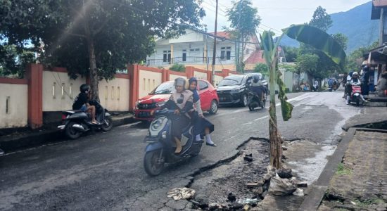 Jalan Rusak Bikin Pengendara Jatuh, Warga Ternate Tanam Pisang di Depan RSUD CB