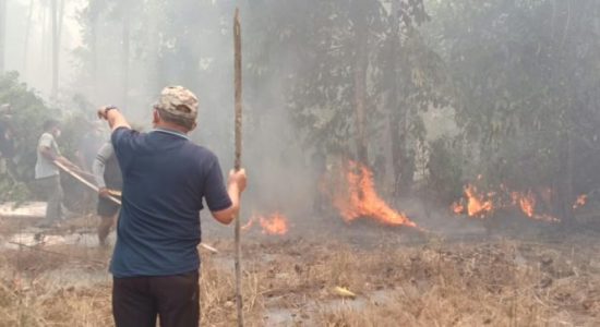 Tinjau Karhutla Sulamadaha, Wali Kota Tauhid Minta Siapkan Posko Kesehatan dan Bak Air