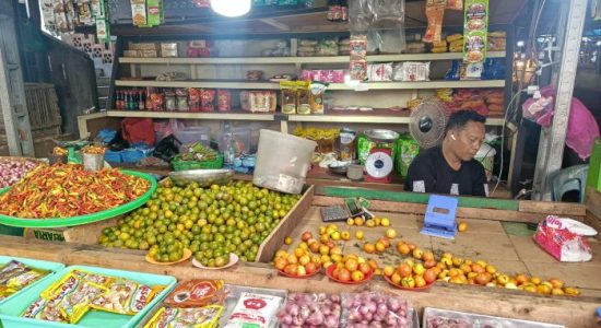 Harga Rica Nona Pasar Ternate Stabil di Kisaran Rp160-Rp180 Ribu