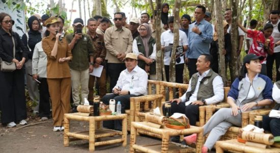 Dukung Ekowisata Pulo Tareba, Gubernur ke Kadishut: Segera Koordinasi Hadirkan Listrik hingga Internet