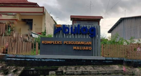 Jelang Nataru, Stok Beras di Maluku Utara Dipastikan Aman