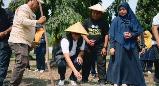 SMK 3 Tidore Panen Jagung, Kadikbud Maluku Utara Tegaskan Arah Pendidikan Kejuruan