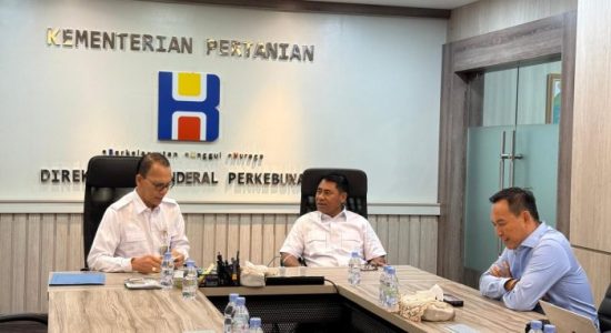 Bupati Halmahera Timur Usulkan Pembangunan Pabrik Pengolahan Kelapa ke Kementan