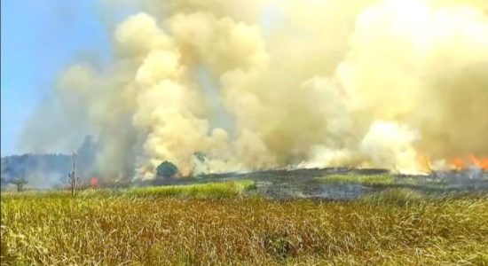 Kebakaran Puluhan Titik, Damkar Morotai Terkendala Armada dan Personel