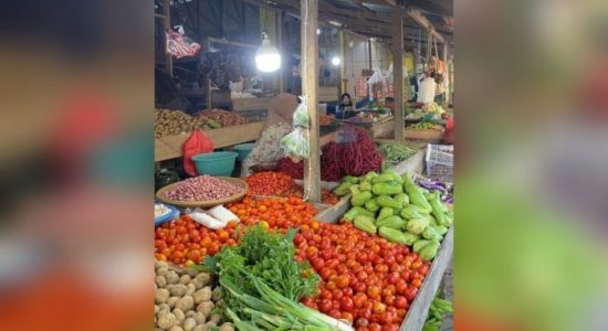 DPKP Morotai Pastikan Harga Barito dan Bapok Masih Stabil Jelang Ramadan