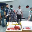 Pengiriman Empat Box Daging Anjing Tujuan Ambon Digagalkan