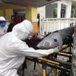 Mengidap Tiga Penyakit, Wakapolres Halbar Dirujuk ke Ternate