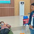 Puluhan Kantong Darah dari KNPI Malut Didonor Secara Cuma-cuma