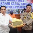 Polda Malut Gagalkan Peredaran Paket Ganja 1 Kg