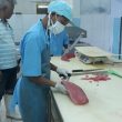 Sempat Vakum, Koperasi SAP Kembali Ekspor Tuna ke Singapura