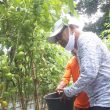 MHB: Ternate Butuh Regulasi yang Berpihak Pada Petani Lokal
