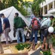 4 Mahasiswa Unkhair Ternate Luka-luka Tertimpa Pohon Tumbang