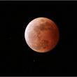 Ini Waktu dan Tempat untuk Menyaksikan Gerhana Bulan di Sula