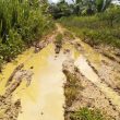 Baru Dibangun, Jalan Tani di Desa Morodadi, Morotai, Rusak Parah