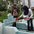 Bupati Sula Ziarah ke Makam Kakek dan Nenek di Taliabu