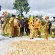 Tinjau Lahan Tani, Bupati Sula Janji Rekrut Sarjana Pertanian