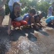 Ratusan Anak Penyu Dilepaskan, Warnai Hari Kemerdekaan di Ternate