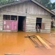 Banjir di Halmahera Tengah Mengisolasi Akses Penyaluran Bantuan