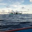 Pemda dan Polisi Didesak Tindak Kapal Jaring Pukat di Perairan Morotai