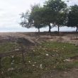 Pemasangan Tower BTS di Desa Malbufa Sempat Terkendala, Kominfo Sula: Rampung Februari