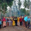 Kelompok Tani di Desa Masure, Halmahera Tengah Terima Bantuan Bibit
