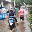 Hujan Lebat Sering Timbulkan Banjir di Ternate, BPBD Ajak Warga Atasi Bersama