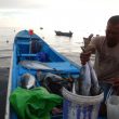 WALHI: Krisis Iklim dan Industri Ekstraktif Bikin Jumlah Nelayan Terus Menurun