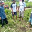Bom Granat Peninggalan Perang di Morotai Ditemukan Masih Aktif
