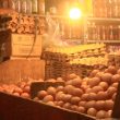 Yuk! Pantau Harga Telur di Pasar Ternate Hari Ini