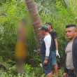 Seorang Petani di Kepulauan Sula Tewas Menggantung, Begini Pengakuan Istrinya