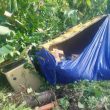 Mobil Tabrak Motor di Halmahera Tengah, 1 Orang Tewas