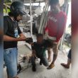 Bawa Narkoba, Seorang Pemuda di Ternate Diringkus Saat Hendak ke Pelabuhan