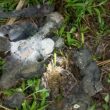 Warga Morotai Temukan Bom Aktif di Sekitar Jembatan Rakyat
