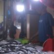 Cuaca Tak Menentu, Harga Ikan di Pasar Higienis Ternate Naik