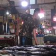 Harga Ikan di Pasar Ternate ‘Terjun Bebas’