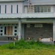 Kantor Bupati Morotai Bagai Kandang Kambing