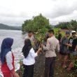 Ratusan Bibit Mangrove Ditanam di Pesisir Sagea, Halmahera
