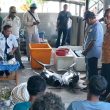 Pasar Ekspor Ikan Tuna di Halmahera Tengah Dimulai Tahun Depan