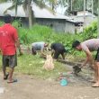 Bripka Hasrulla dan Warga Gotalamo, Morotai Bersihkan Drainase, Atasi Genangan Air
