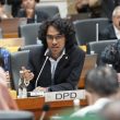 DPD Dukung UU Minerba yang Bakal Mengubah Nasib Daerah dan Masyarakat Adat