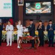 Pidato Perdana Gubernur Sherly, Komitmen Mewujudkan Pemerintahan Bersih dan Kemajuan Sosial-Ekonomi